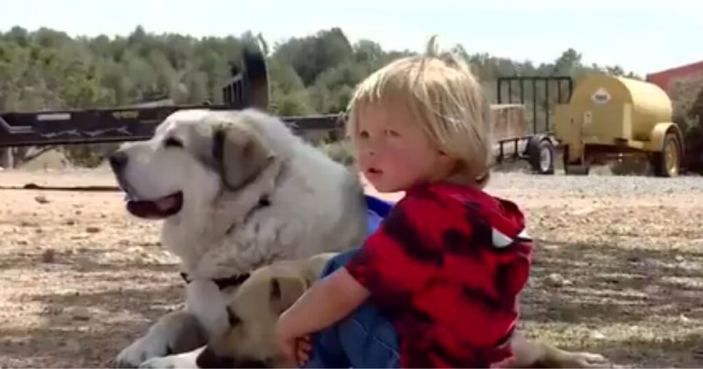 Rancher Sees His Dog Leading Strange Boy Through Arizona Desert, Soon Realizes It’s the Missing Child